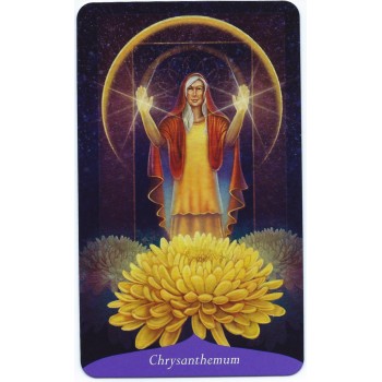 Magic Of Flowers Oracle Kortos Llewellyn